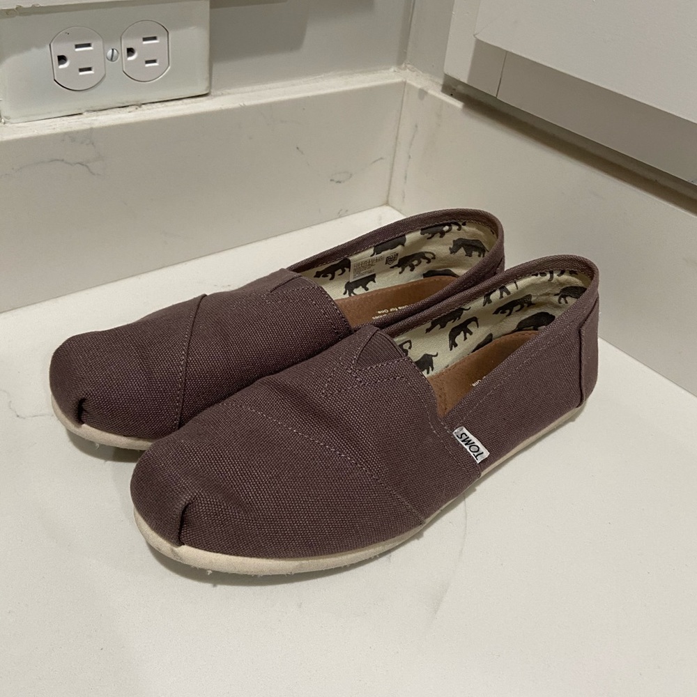 TOMS Ash Grey Canvas Shoes